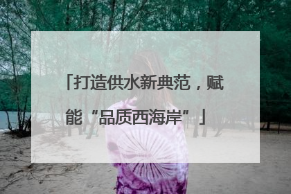 打造供水新典范，赋能“品质西海岸”