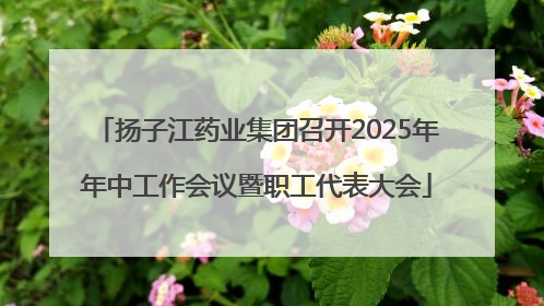 扬子江药业集团召开2025年年中工作会议暨职工代表大会