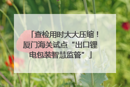 查检用时大大压缩！厦门海关试点“出口锂电包装智慧监管”