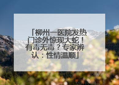 柳州一医院发热门诊外惊现大蛇！有毒无毒？专家辨认：性情温顺