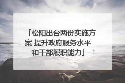 松阳出台两份实施方案 提升政府服务水平和干部履职能力