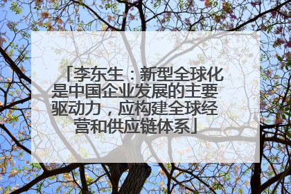 李东生：新型全球化是中国企业发展的主要驱动力，应构建全球经营和供应链体系