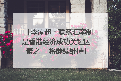 李家超：联系汇率制是香港经济成功关键因素之一 将继续维持