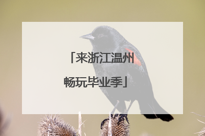 来浙江温州畅玩毕业季