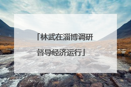 林武在淄博调研督导经济运行