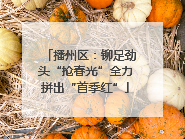 播州区：铆足劲头“抢春光”全力拼出“首季红”