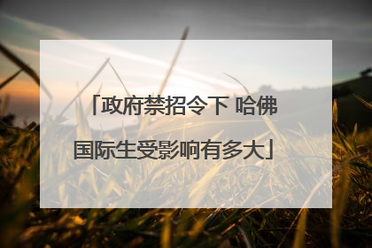 政府禁招令下 哈佛国际生受影响有多大