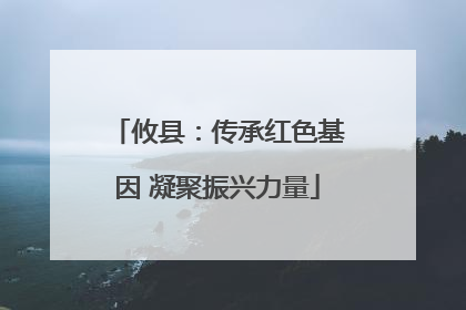 攸县：传承红色基因 凝聚振兴力量