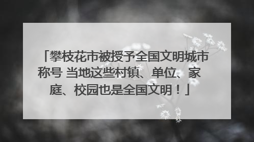 攀枝花市被授予全国文明城市称号 当地这些村镇、单位、家庭、校园也是全国文明！