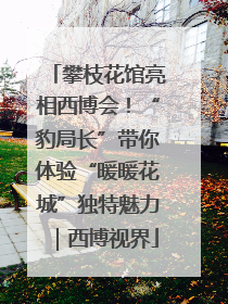 攀枝花馆亮相西博会！“豹局长”带你体验“暖暖花城”独特魅力｜西博视界