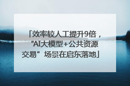 效率较人工提升9倍，“AI大模型+公共资源交易”场景在启东落地