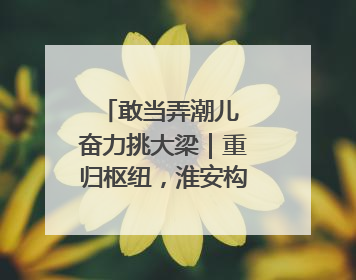 敢当弄潮儿 奋力挑大梁｜重归枢纽，淮安构筑发展强磁场