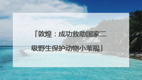 敦煌：成功救助国家二级野生保护动物小苇鳽