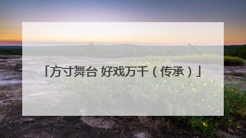 方寸舞台 好戏万千（传承）