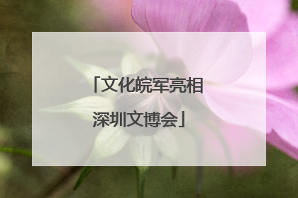 文化皖军亮相深圳文博会