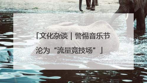 文化杂谈｜警惕音乐节沦为“流量竞技场”