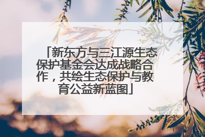 新东方与三江源生态保护基金会达成战略合作，共绘生态保护与教育公益新蓝图