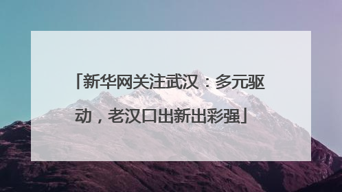 新华网关注武汉：多元驱动，老汉口出新出彩强