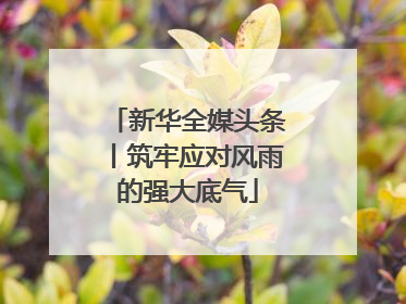 新华全媒头条丨筑牢应对风雨的强大底气