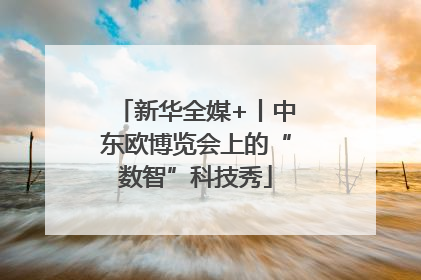 新华全媒+丨中东欧博览会上的“数智”科技秀