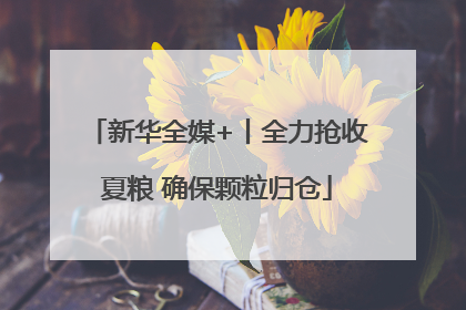 新华全媒+丨全力抢收夏粮 确保颗粒归仓