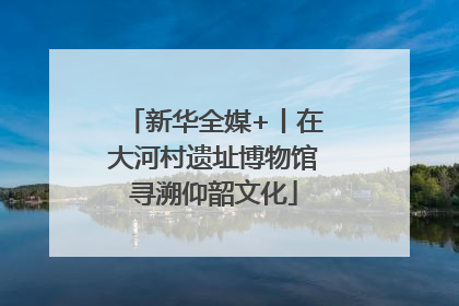 新华全媒+丨在大河村遗址博物馆寻溯仰韶文化