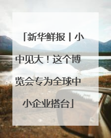 新华鲜报丨小中见大！这个博览会专为全球中小企业搭台