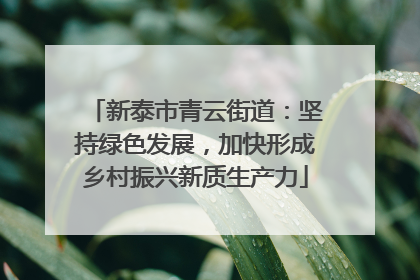 新泰市青云街道：坚持绿色发展，加快形成乡村振兴新质生产力