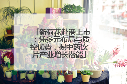 新荷花赴港上市：凭多元布局与质控优势，掘中药饮片产业增长潜能