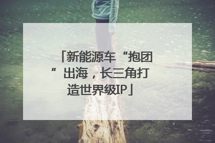 新能源车“抱团”出海，长三角打造世界级IP