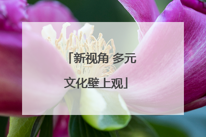新视角 多元文化壁上观