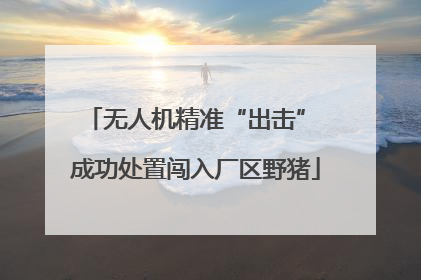 无人机精准“出击” 成功处置闯入厂区野猪