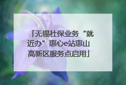 无锡社保业务“就近办”惠心e站惠山高新区服务点启用