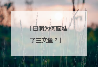 日照为何瞄准了三文鱼？