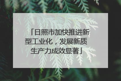 日照市加快推进新型工业化，发展新质生产力成效显著