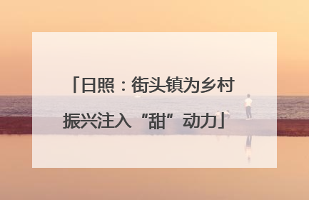 日照：街头镇为乡村振兴注入“甜”动力