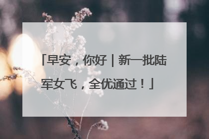 早安，你好｜新一批陆军女飞，全优通过！