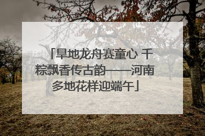 旱地龙舟赛童心 千粽飘香传古韵——河南多地花样迎端午