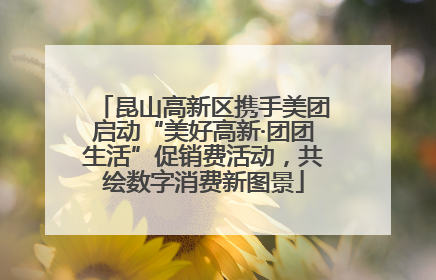 昆山高新区携手美团启动“美好高新·团团生活”促销费活动，共绘数字消费新图景