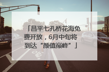 昌平七孔桥花海免费开放，6月中旬将到达“颜值巅峰”
