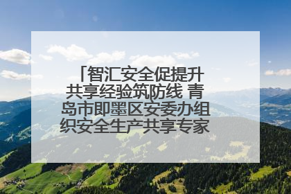智汇安全促提升 共享经验筑防线 青岛市即墨区安委办组织安全生产共享专家现场观摩学习活动