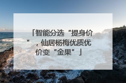 智能分选“提身价”，仙居杨梅优质优价变“金果”