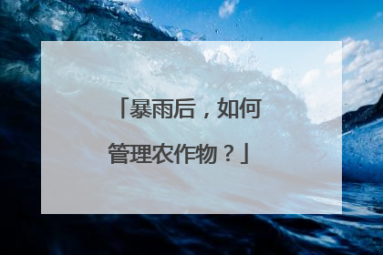 暴雨后，如何管理农作物？