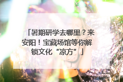 暑期研学去哪里？来安阳！宝藏场馆等你解锁文化“凉方”