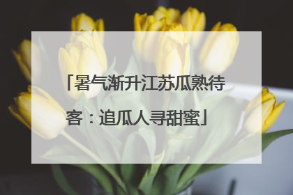 暑气渐升江苏瓜熟待客：追瓜人寻甜蜜