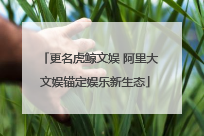 更名虎鲸文娱 阿里大文娱锚定娱乐新生态