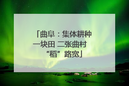 曲阜：集体耕种一块田 二张曲村“稻”路宽