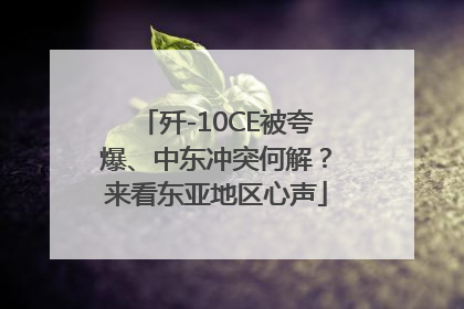 歼-10CE被夸爆、中东冲突何解？来看东亚地区心声