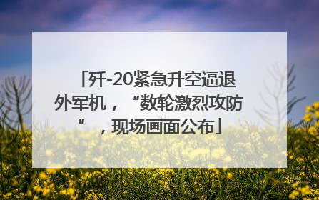 歼-20紧急升空逼退外军机，“数轮激烈攻防”，现场画面公布