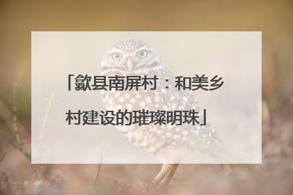 歙县南屏村：和美乡村建设的璀璨明珠